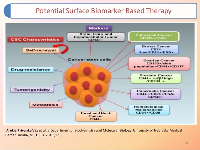stem cell treatment for breast cancer Stem cell treatment for breast cancer